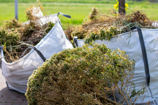 Best Yard Waste Removal  in Granvle, IL